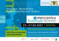 meccanica feminale online