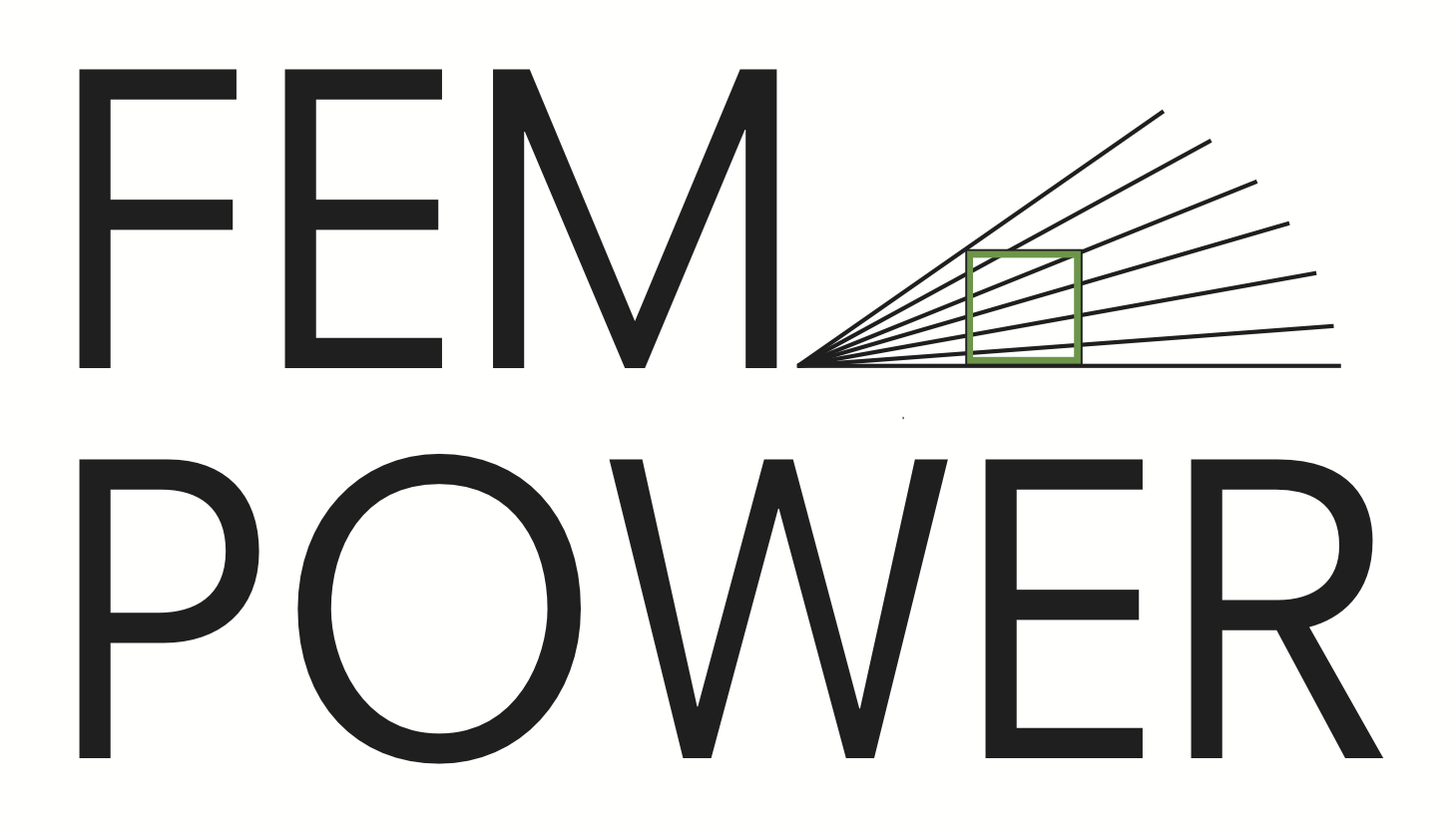 Schriftlogo FEM POWER