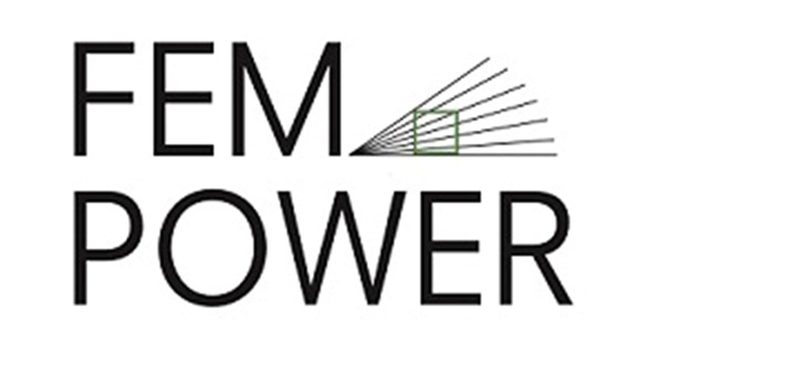 FEM POWER II