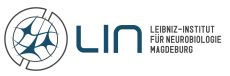 Logo LIN Magdeburg